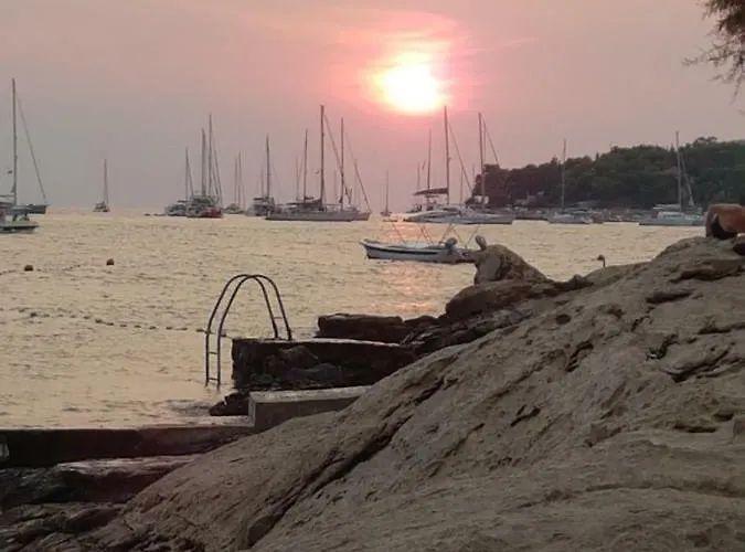 Vini Διαμέρισμα